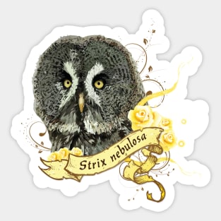 Gray owl Sticker